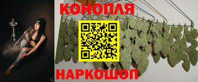 МДПВ Краснодар