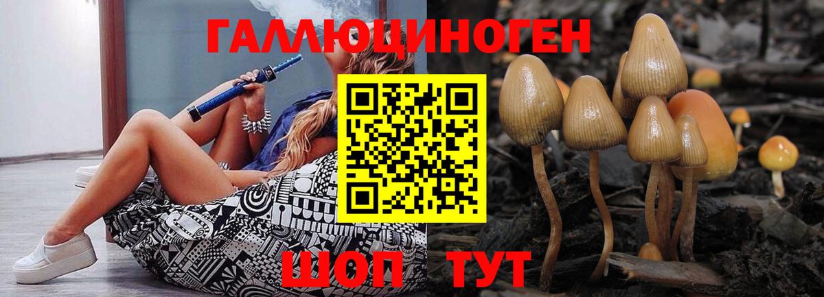 Псилоцибиновые грибы GOLDEN TEACHER  Вход с VPN  закладки  Тавда 